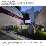 LUGNER-Open-Air-Kino-Sitzsaecke-BIOLOGIE-XL-Wien-July-2025